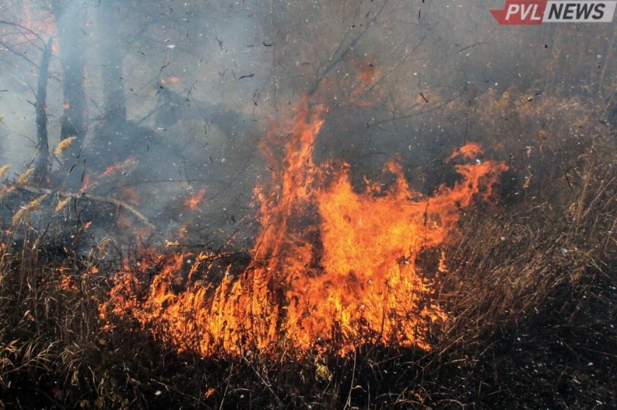 Крупный пожар разгорелся в степях Павлодарской области