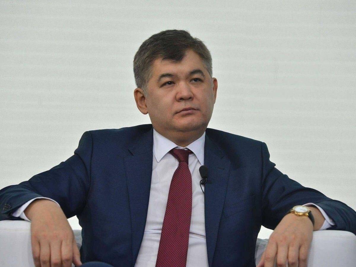 Получился куцый и сырой – экс-министр Елжан Биртанов о новом законопроекте