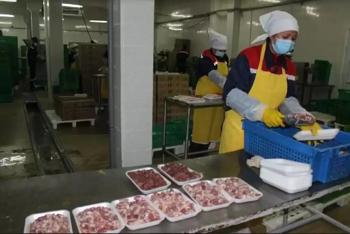 Обеспечить отечественный рынок качественным мясом птицы намерены в Жамбылской области
