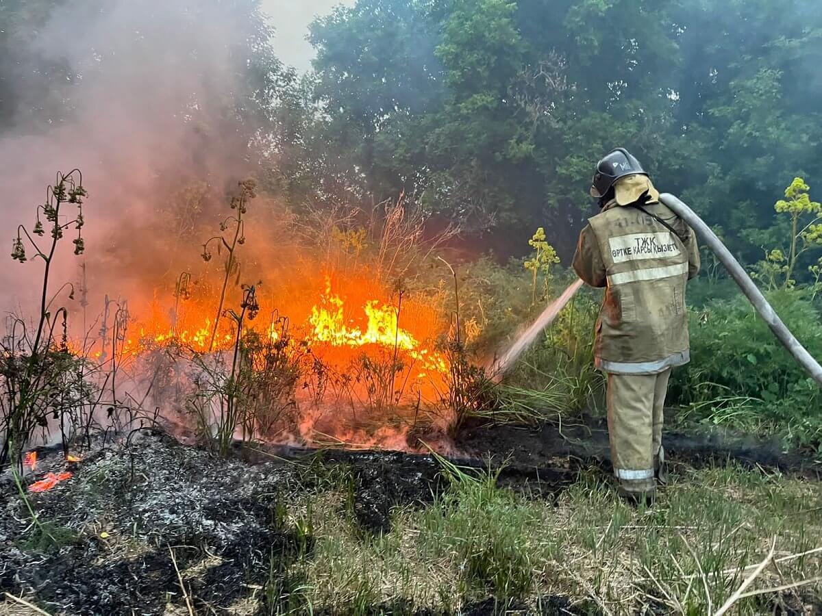 МЧС: Ситуация с лесными пожарами на территории области Абай стабилизируется