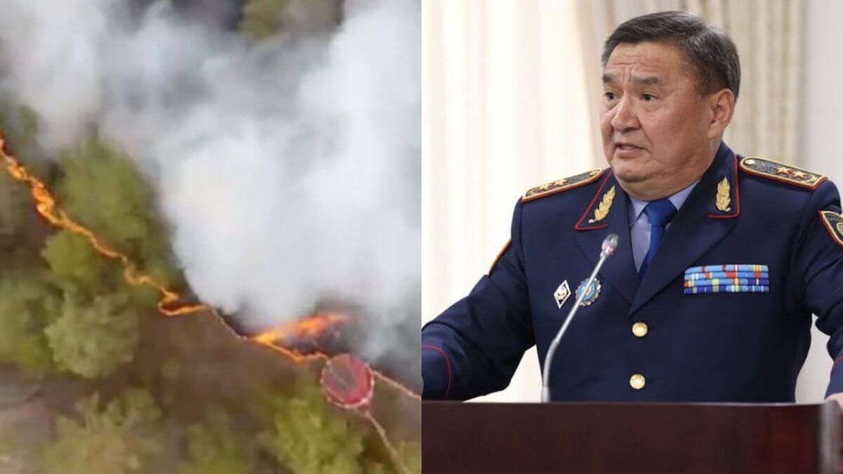 "Есть версия поджога": глава МВД про пожар в Абайской области
