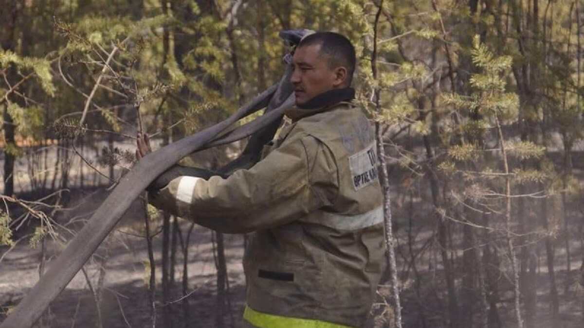 Лесной пожар в Абайской области локализован