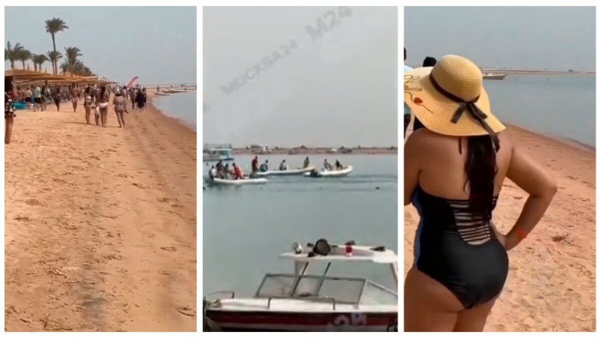 Останки доедает: На курорте Египта акула вновь напала на человека