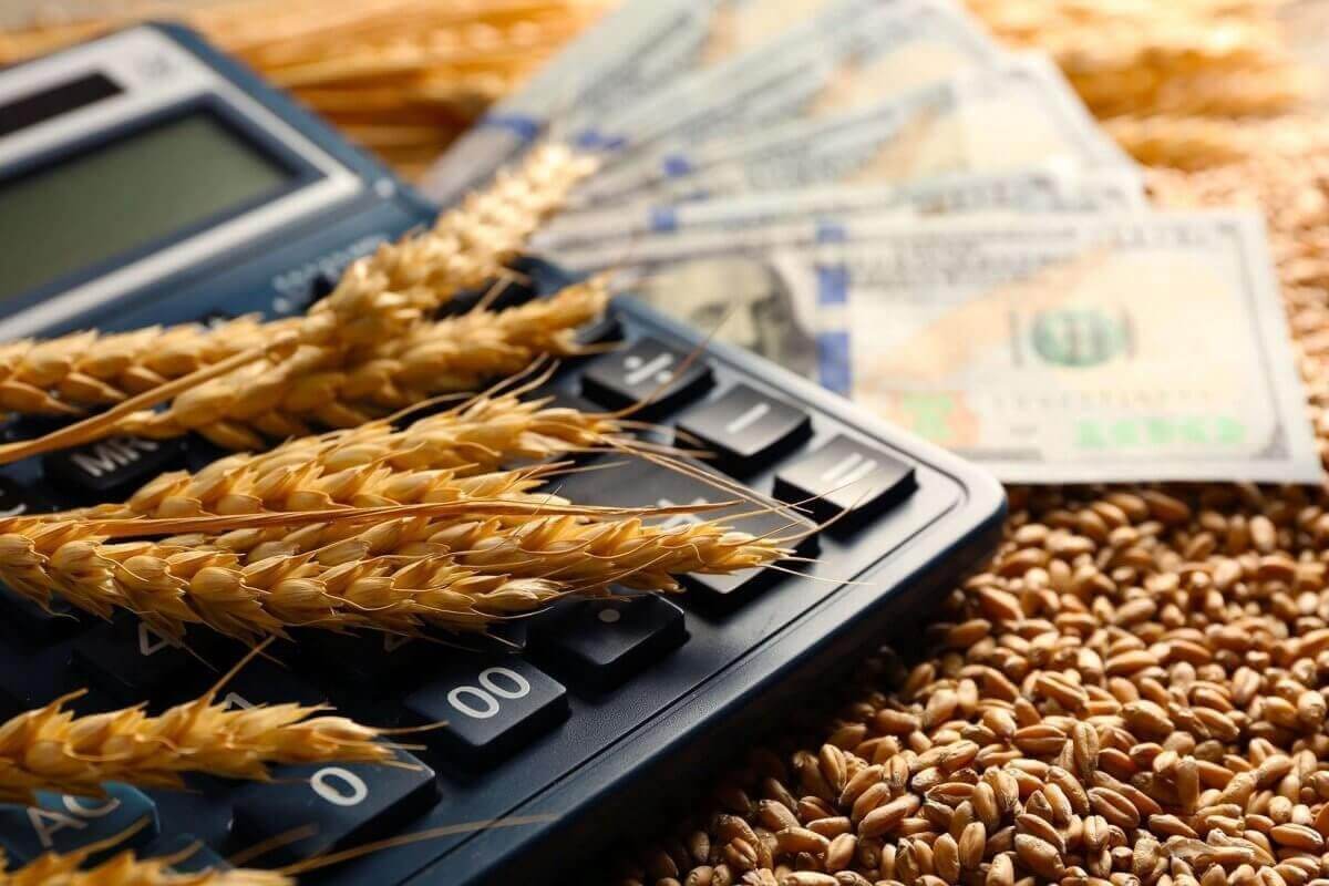 Фермерам в регионах смягчат условия по кредитам: кому и как