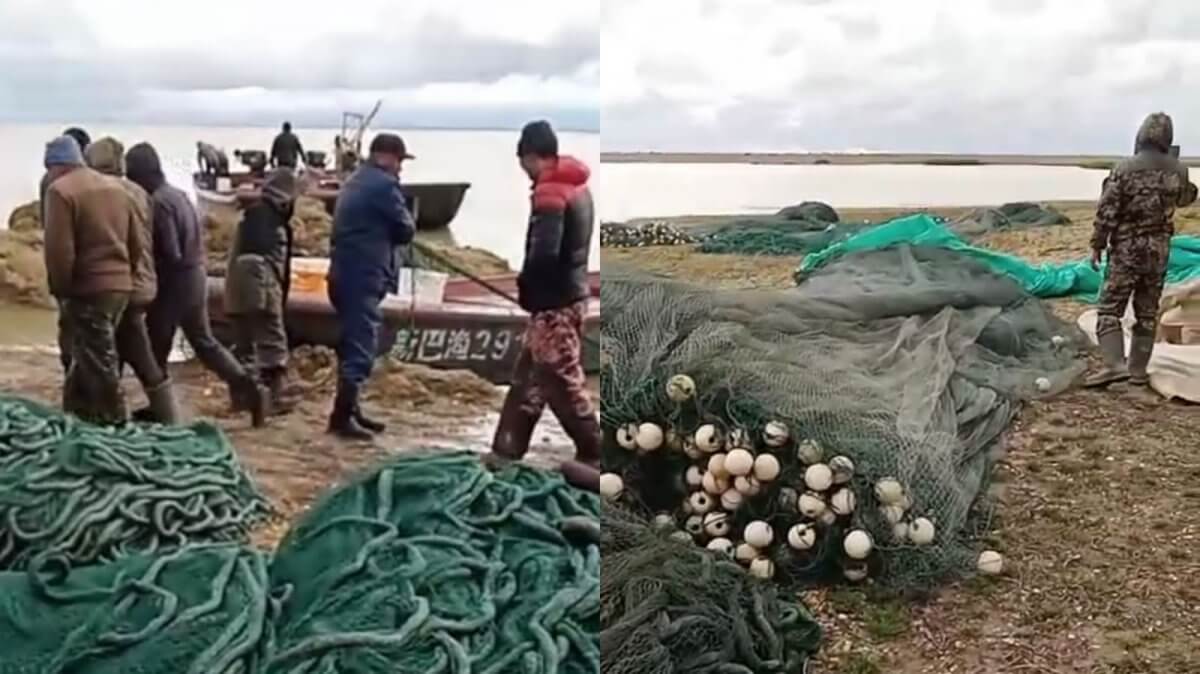 «Требуем прекратить беспредел»: Депутат Толыкбай назвал компанию, которая ловит рыбу на озере Зайсан китайскими сетями