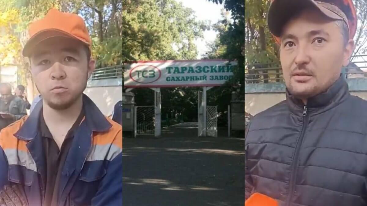 "Как приехали россияне, начался бардак": работники сахарного завода в Таразе вышли на протест