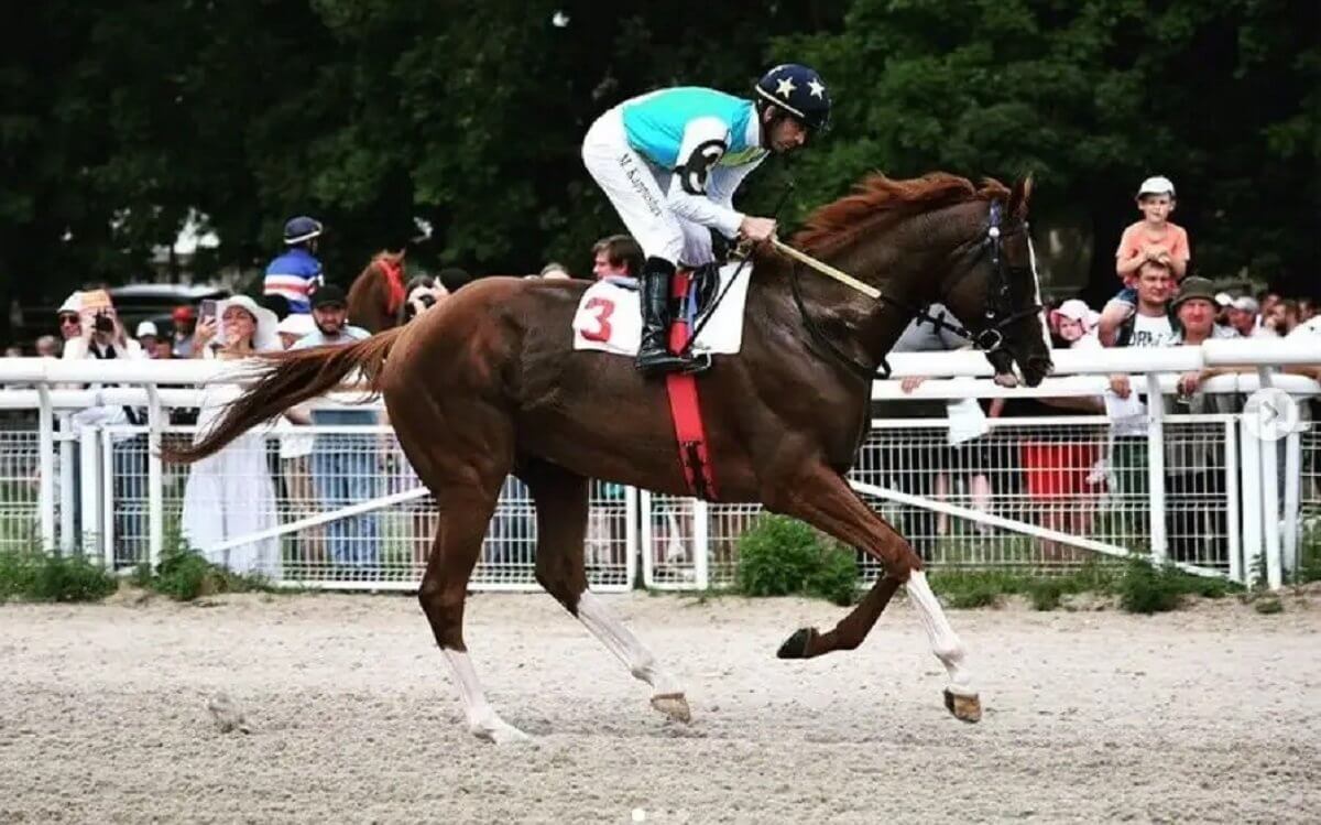 Казахстанская лошадь выиграла престижные скачки в Дубае