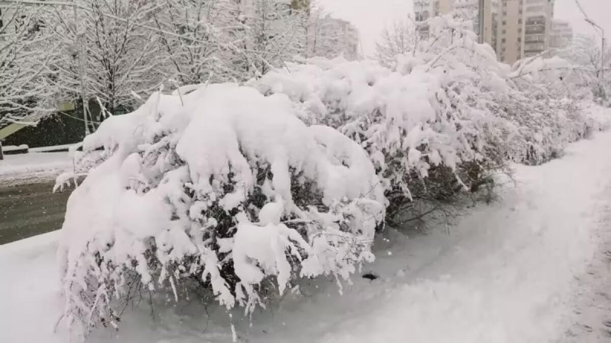 Снег с метелью и сильный ветер ожидаются в Казахстане 3 февраля
