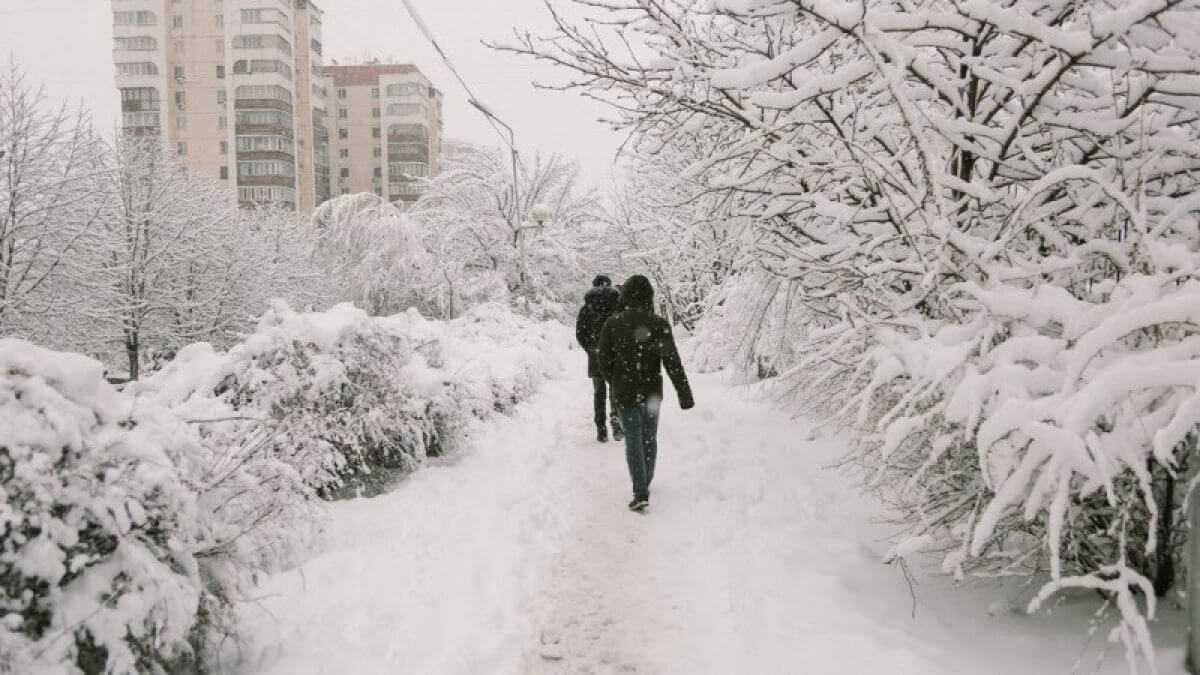 Сильные морозы продолжатся: прогноз погоды на 19 февраля  2024 года