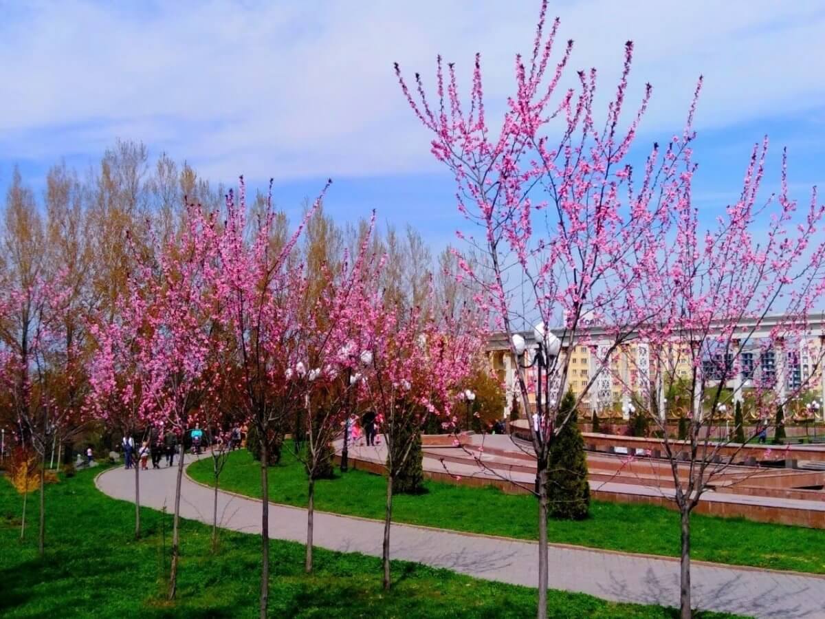 Погода Алматы на выходные – 20 и 21 апреля