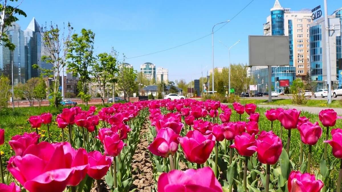 Погода в Алматы с 20 по 26 мая 2024 года