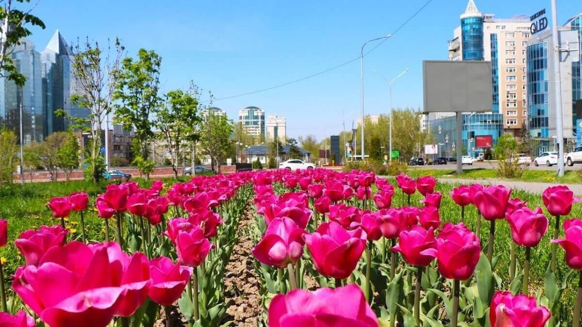 Погода Алматы на выходные – 25 и 26 мая 2024 года