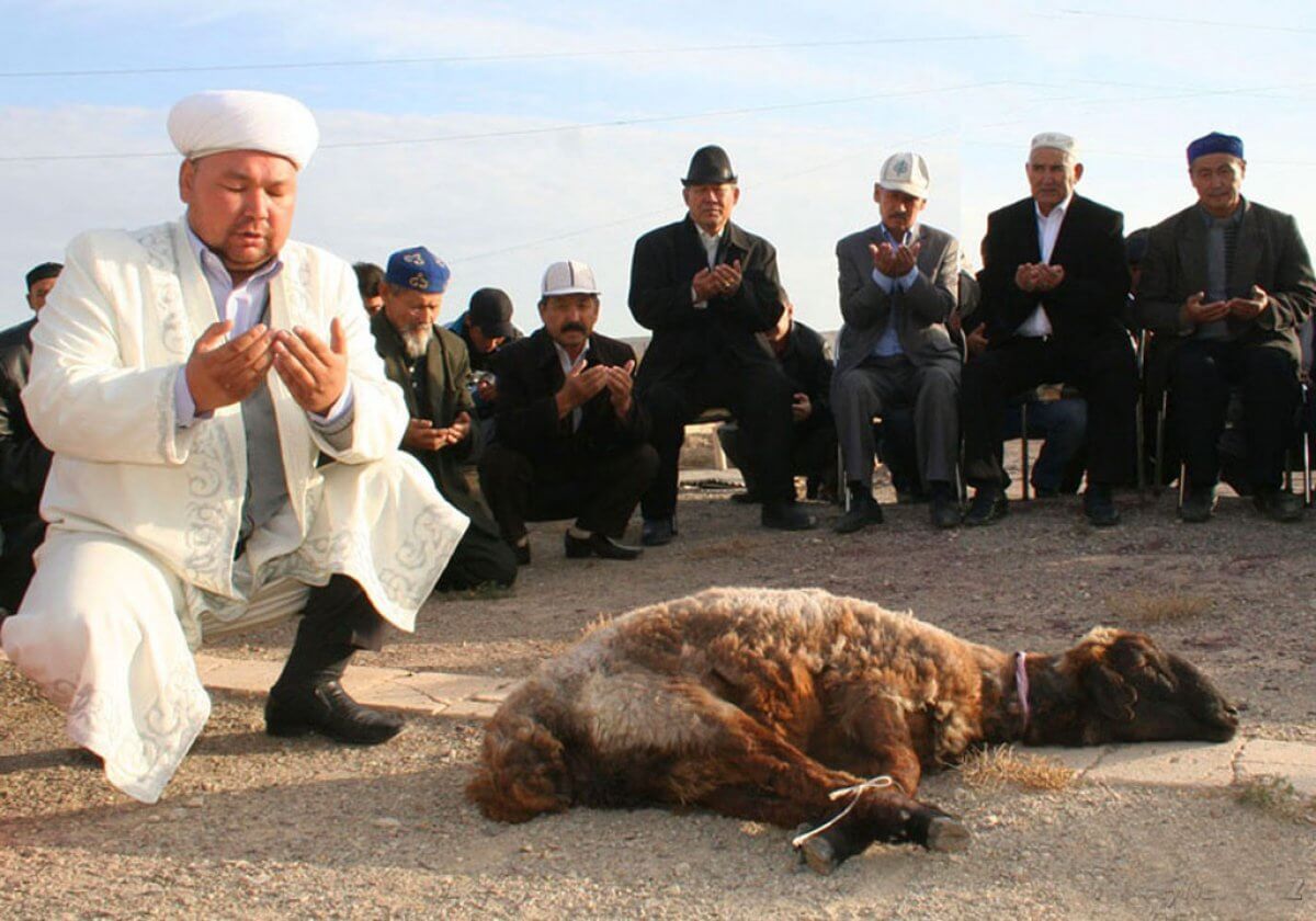 Выбрать животное на сайте и заказать онлайн жертвоприношение смогут казахстанцы на Курбан айт