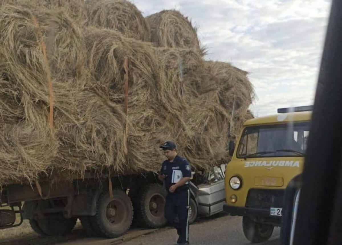 Смертельное ДТП: пять человек погибли в ЗКО