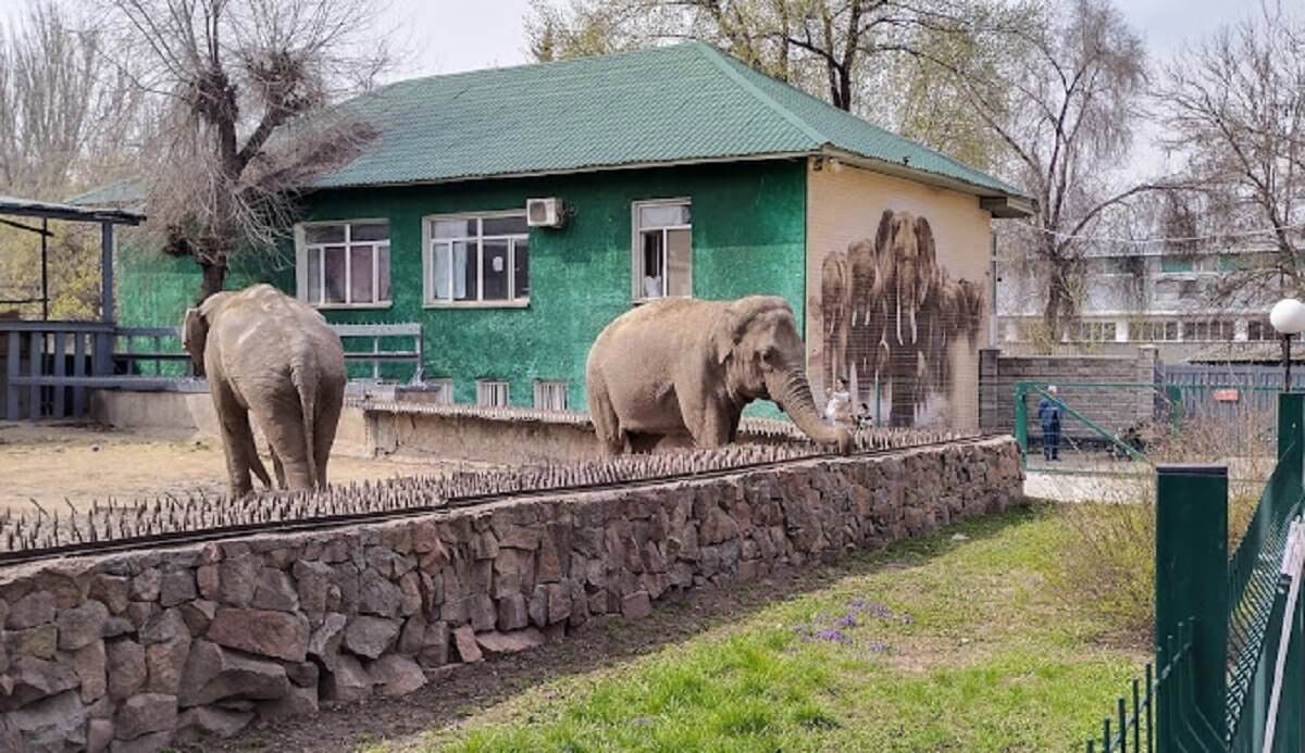 В Алматы больше не будет зоопарка?