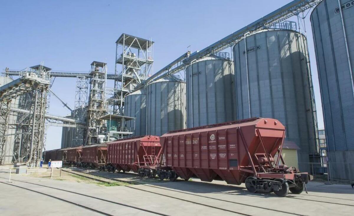 Экспорт зерна нового урожая достиг 7,6 млн тонн: рост на 58%