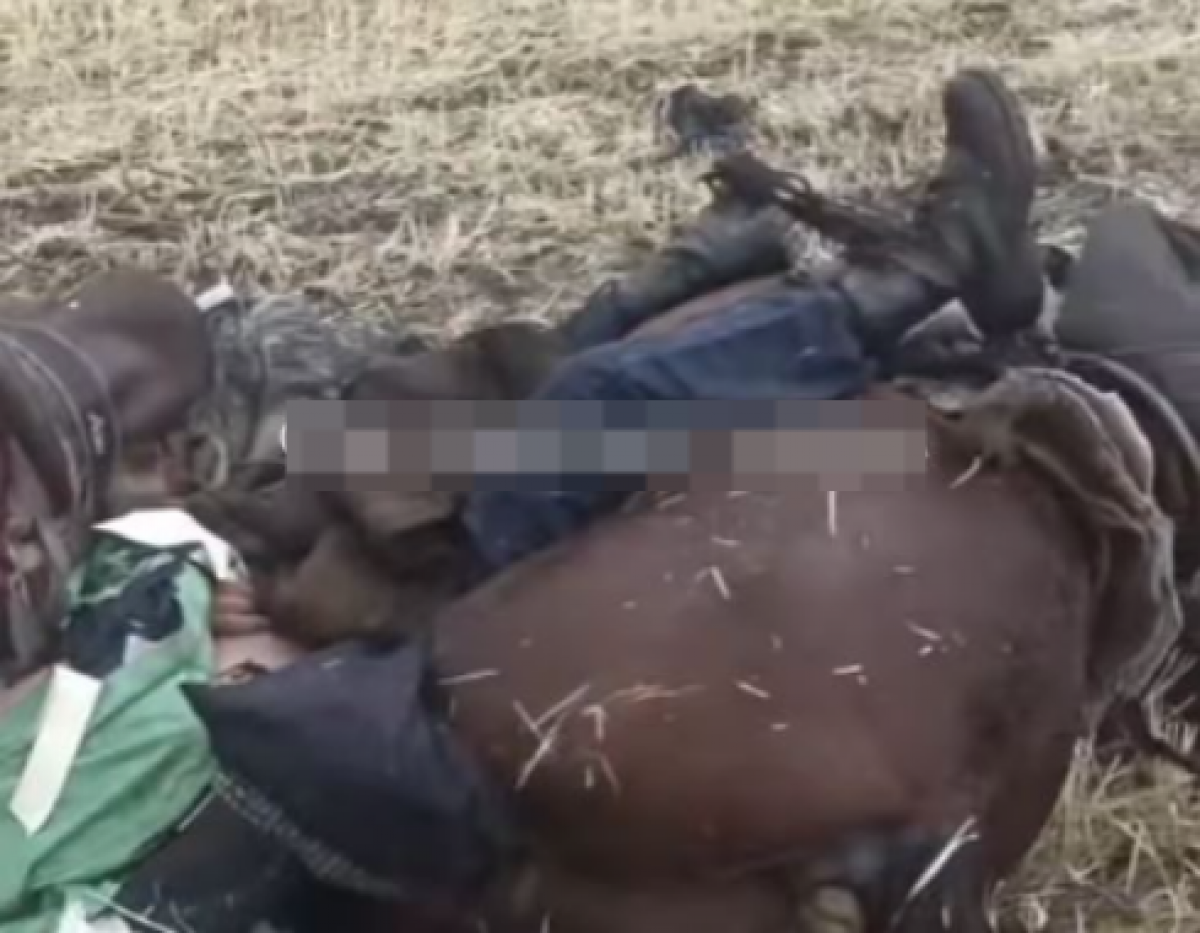 Молния убила пастуха, лошадей и собаку: трагедия в Жетысу