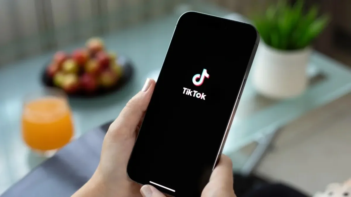 YouTube, TikTok и Facebook раскроют данные о казахстанских блогерах с доходом