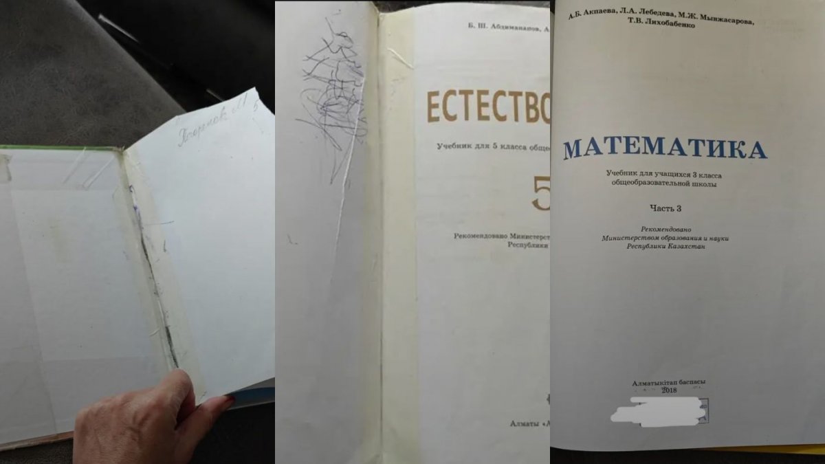 «Где учебники за миллиарды?» – родители обвинили Минпросвещения в бездействии