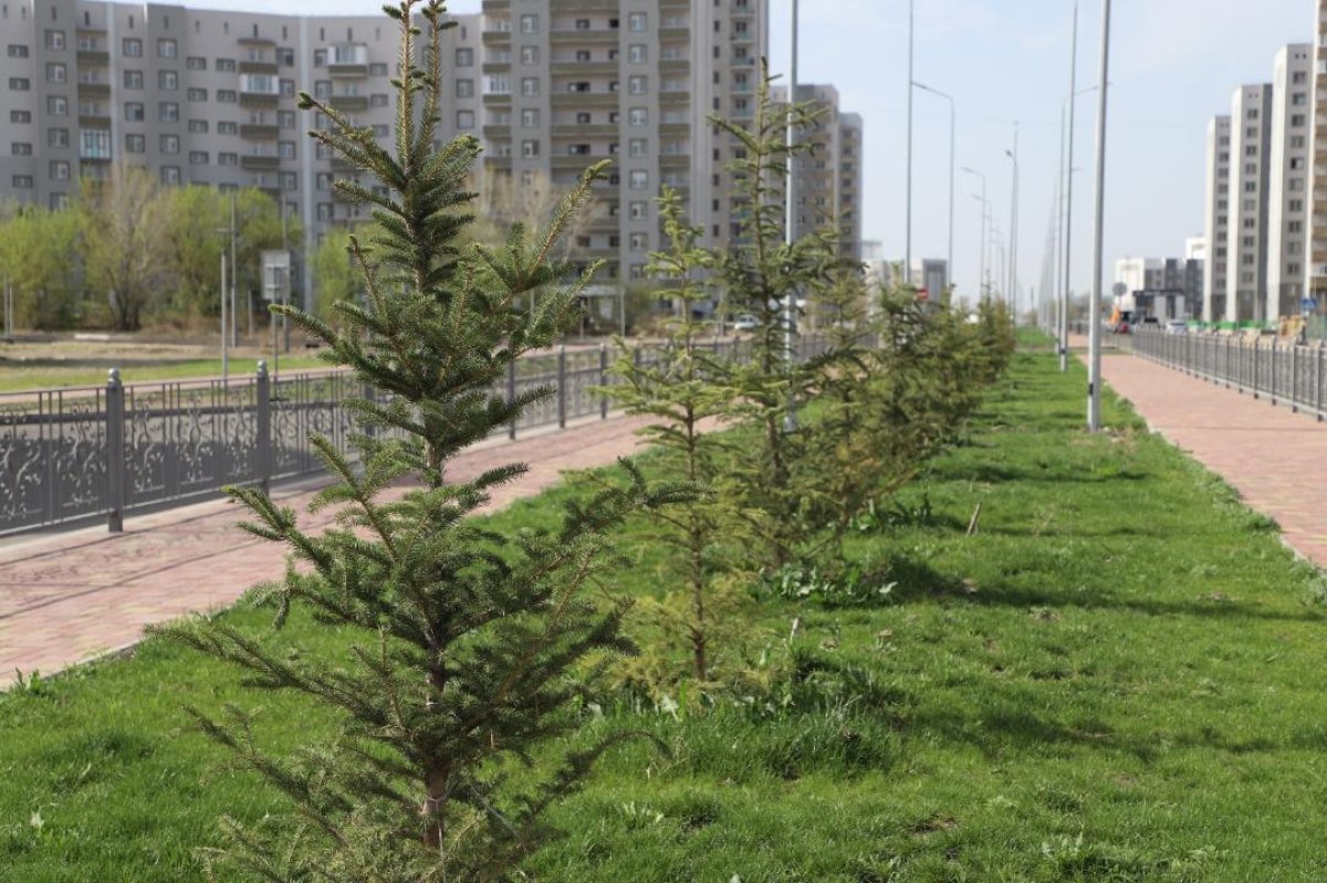 В области Жетісу за три года создали 18 зеленых зон в виде парков, скверов и аллей