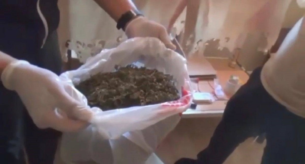Полиция пресекла наркоплантацию в Актюбинской области