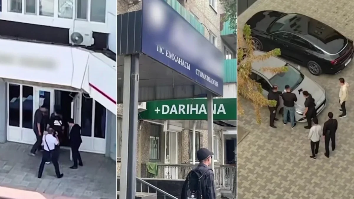 Фиктивные стоматологии и незаконный вывод средств: АФМ расследует хищения из пенсионного фонда