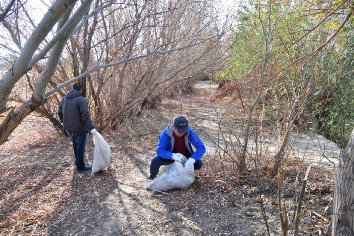 В рамках экоакции в Атырау высажено более 4 тысяч деревьев