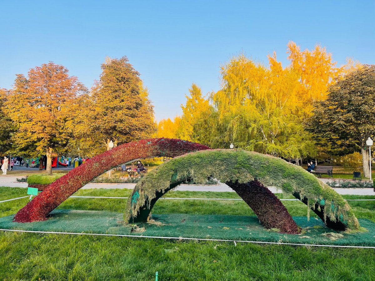 Погода в Алматы с 13 по 19 октября 2025 года