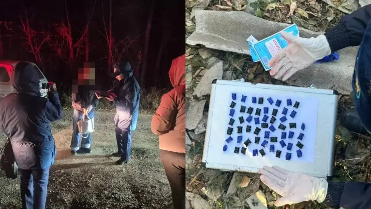 Прятала наркотики в лесу: 18-летнюю закладчицу задержали в Боровом