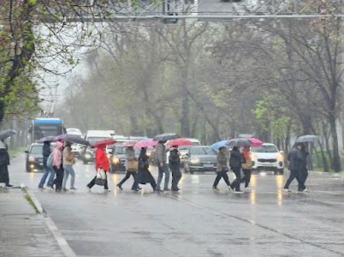Снег, дождь и гололед: в Алматы объявили предупреждение о непогоде