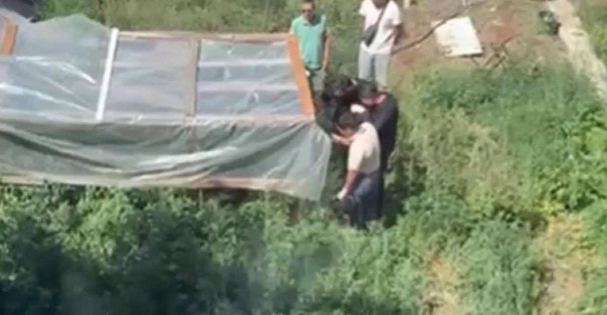 150 кустов конопли изъяла полиция у жителя Павлодара