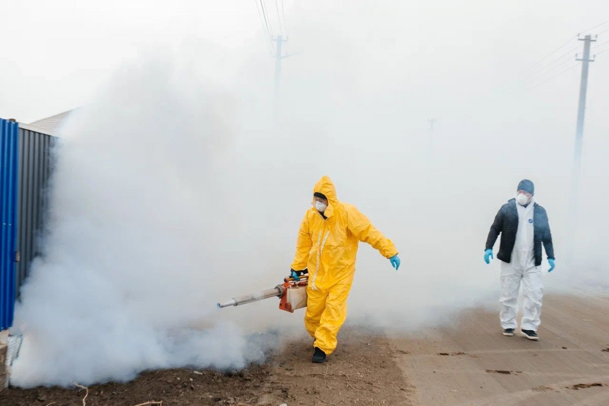 Ситуация с грызунами в сельском округе Бейбарыс – под постоянным контролем