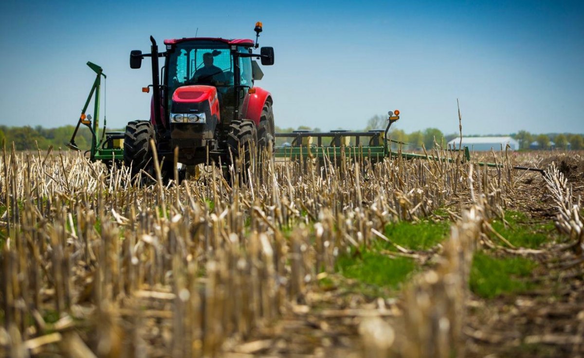 Область Абай стоит на пороге аграрного рывка: что предлагают сенаторы