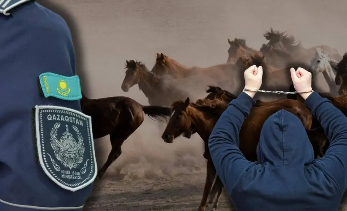 Банда скотокрадов нанесла удар по фермерам в области Улытау