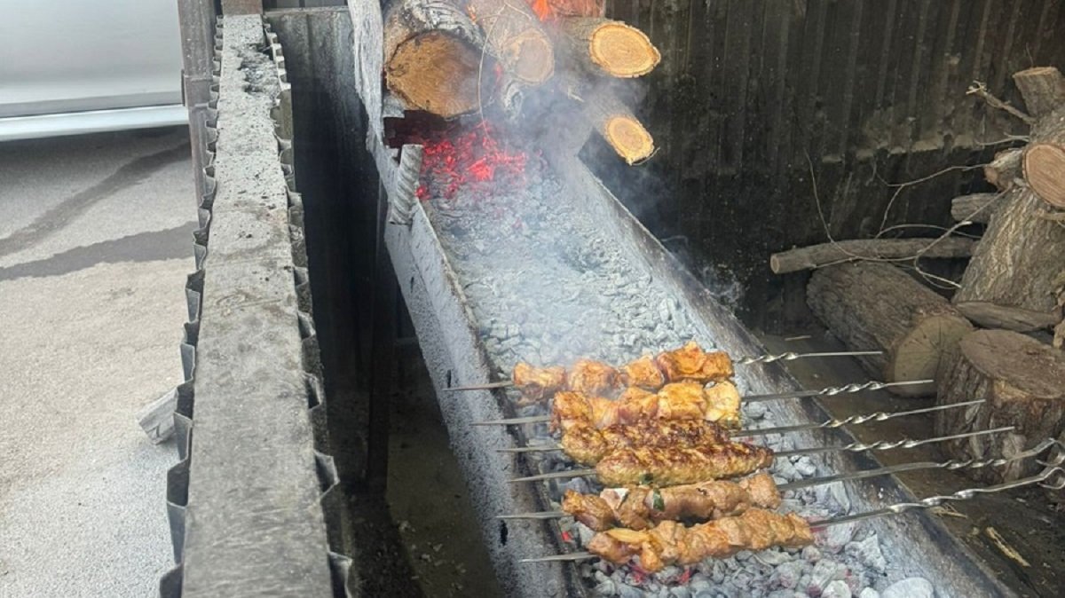 Выявлены экологические и санитарные нарушения у ряда шашлычных в Медеуском районе Алматы