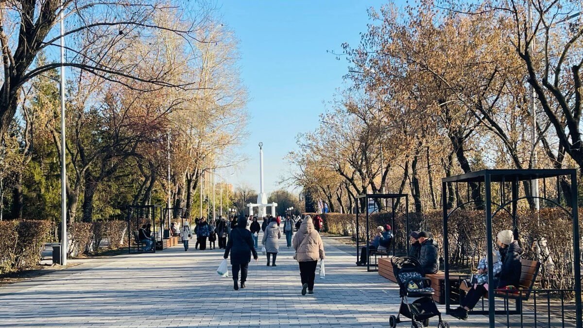 Погода в Петропавловске с 8 по 14 декабря 2025 года