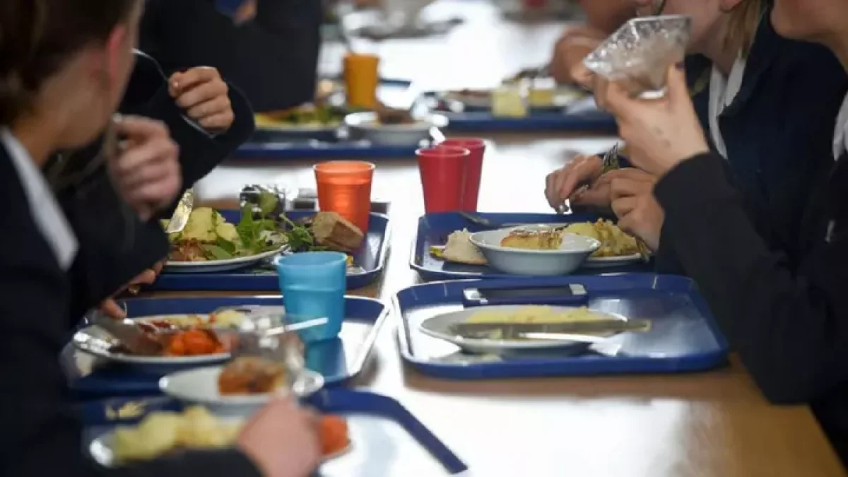 Цена и качество питания в детсадах: депутат потребовала от министерства принять срочные меры