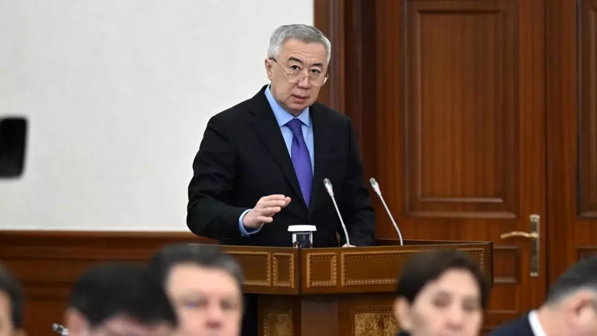 Супруга министра нацэкономики Казахстана заработала почти 89 млн тенге за год