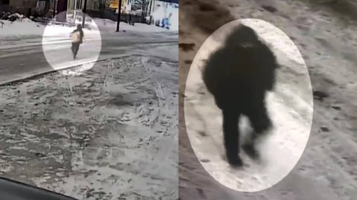 Полиция раскрыла кражу в крупном размере в Караганде