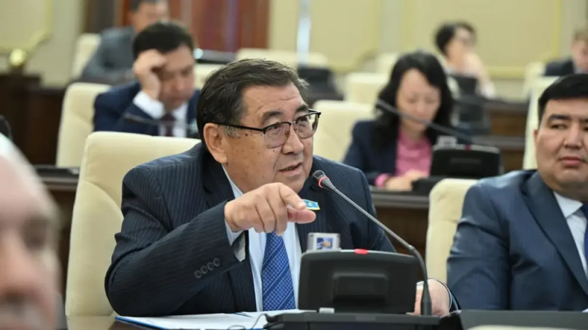 Превращение языка в оружие конфронтации и противостояния не принесёт нам чести - Ермурат Бапи