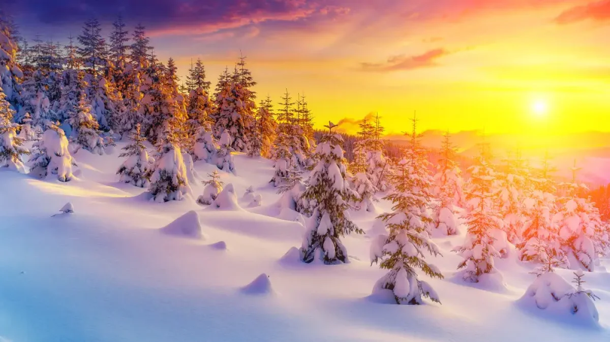 Оттепель, дожди и резкое похолодание: прогноз погоды на начало февраля