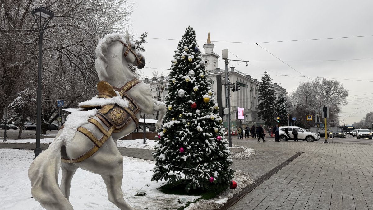 Погода в Алматы с 9 по 15 февраля 2026 года