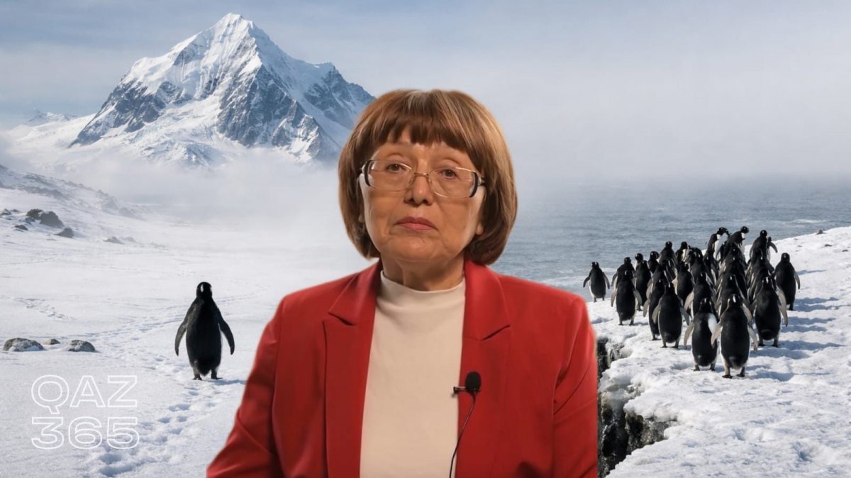 Социальные сети как «эмоциональный туалет»: как рождается коллективная травля