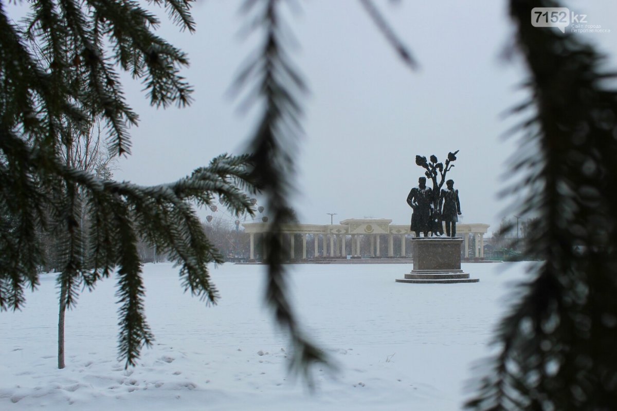 Погода в Петропавловске с 16 по 22 февраля 2026 года