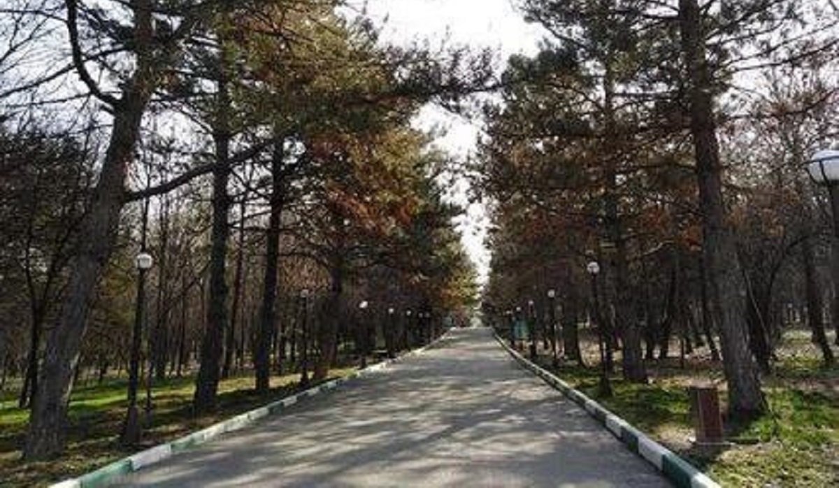 Труп мужчины обнаружен в дендропарке Шымкента