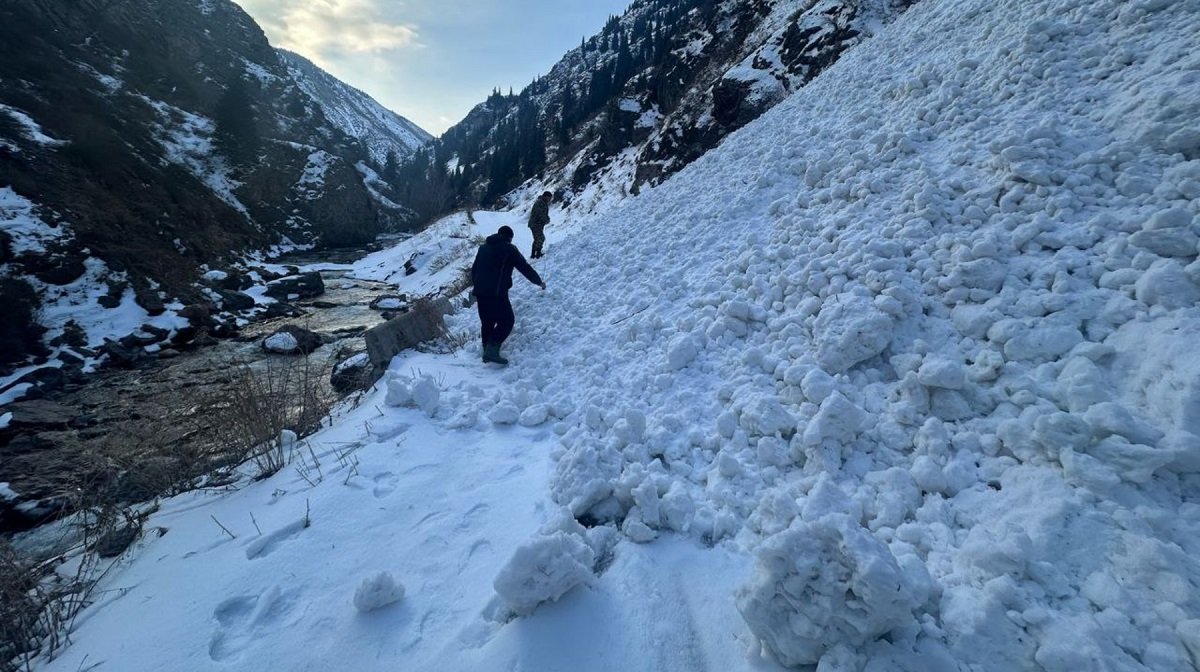 10 минут под снегом: спасатели чудом достали живым лыжника в горах Алматы