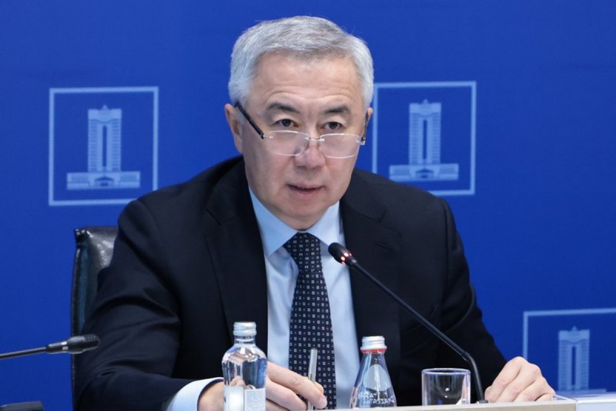 «Мы тоже экономим»: вице-премьер Жумангарин призвал бизнесменов урезать расходы вслед за Кабмином