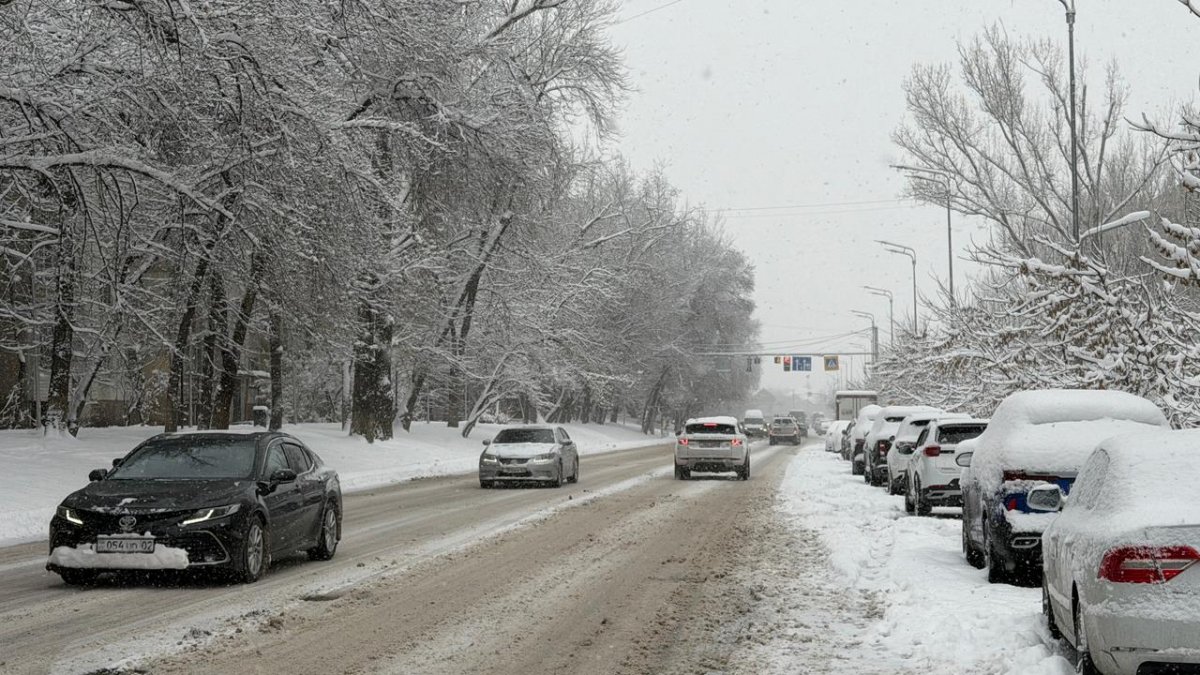Снегопад в Алматы: как акимат справляется с уборкой города