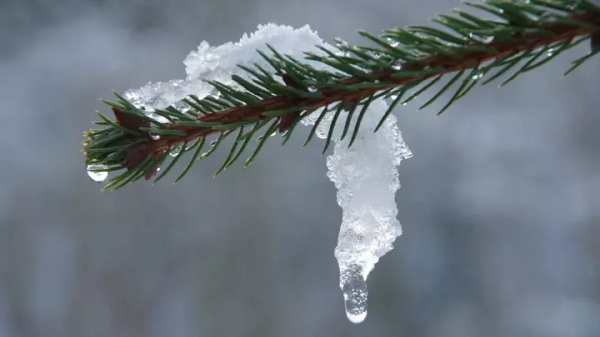 В Казахстане в ближайшие дни ожидаются потепление, осадки и туман
