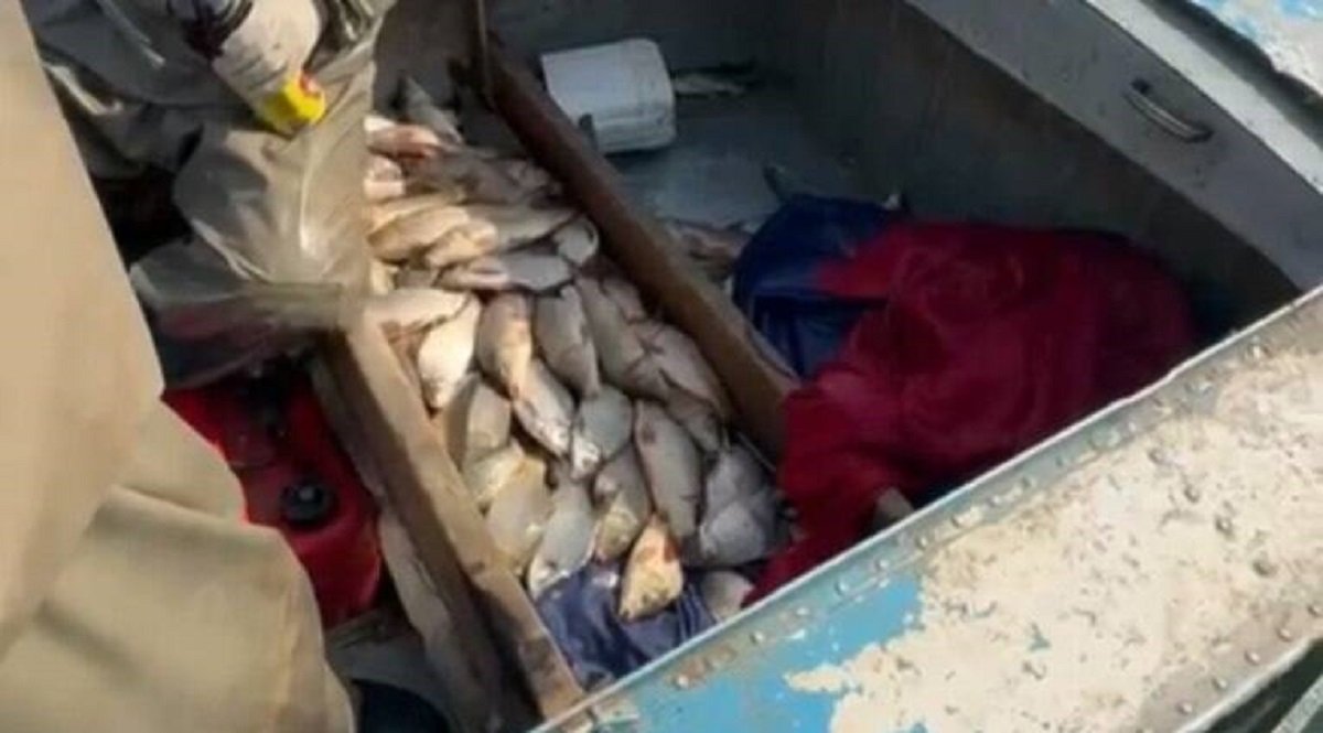 Полиция выявила у браконьеров около 130 кг рыбы в Туркестанской области